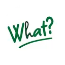 What Makes Thrive SEO NYC different illustration