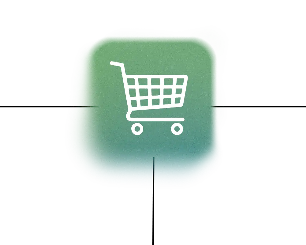 Ecommerce store design and development