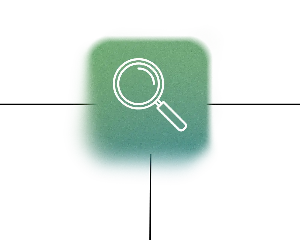 Ecommerce project discovery