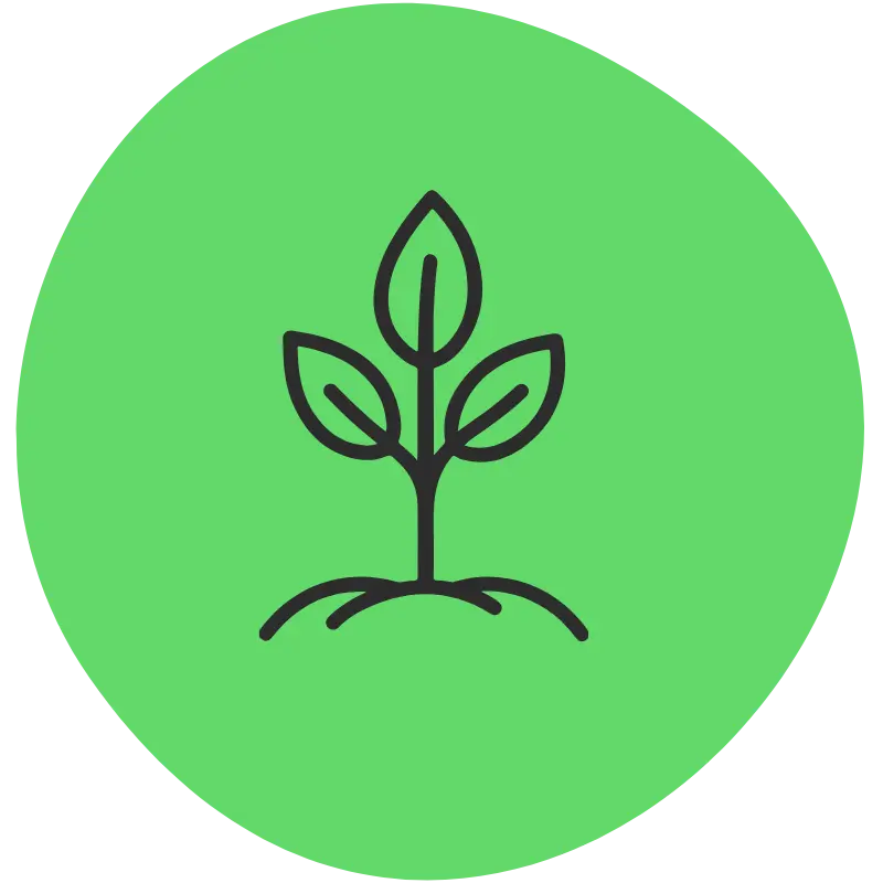 SEO strategies supporting long-term business growth and online visibility